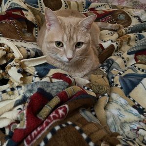 Meet your Posher, Pamela